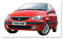 Manufacturers Exporters and Wholesale Suppliers of Indica Bhubaneswar Orissa